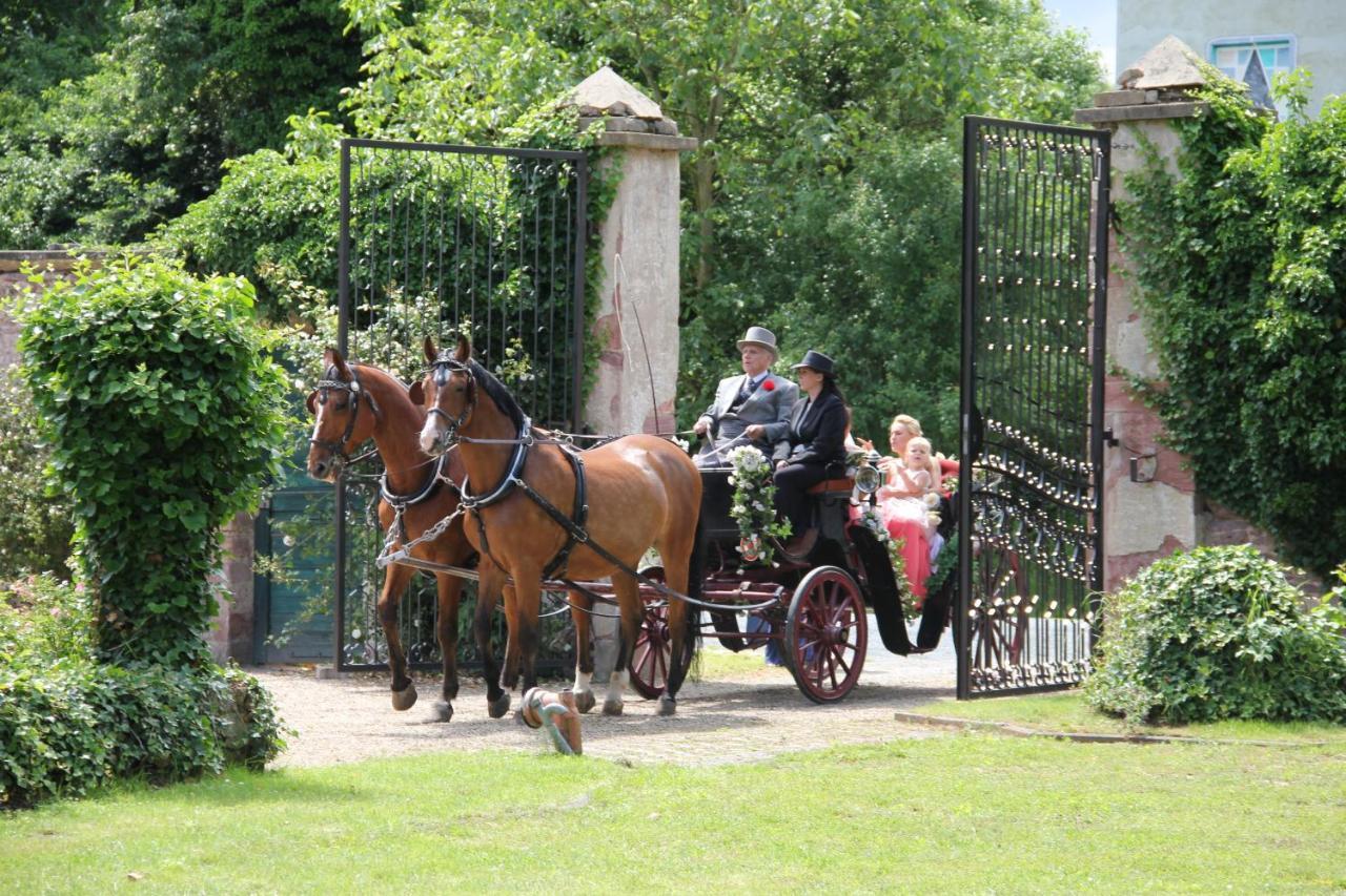 Jagdschloss Moenchbruch Mörfelden-Walldorf Eksteriør bilde